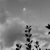 peaceofearth23